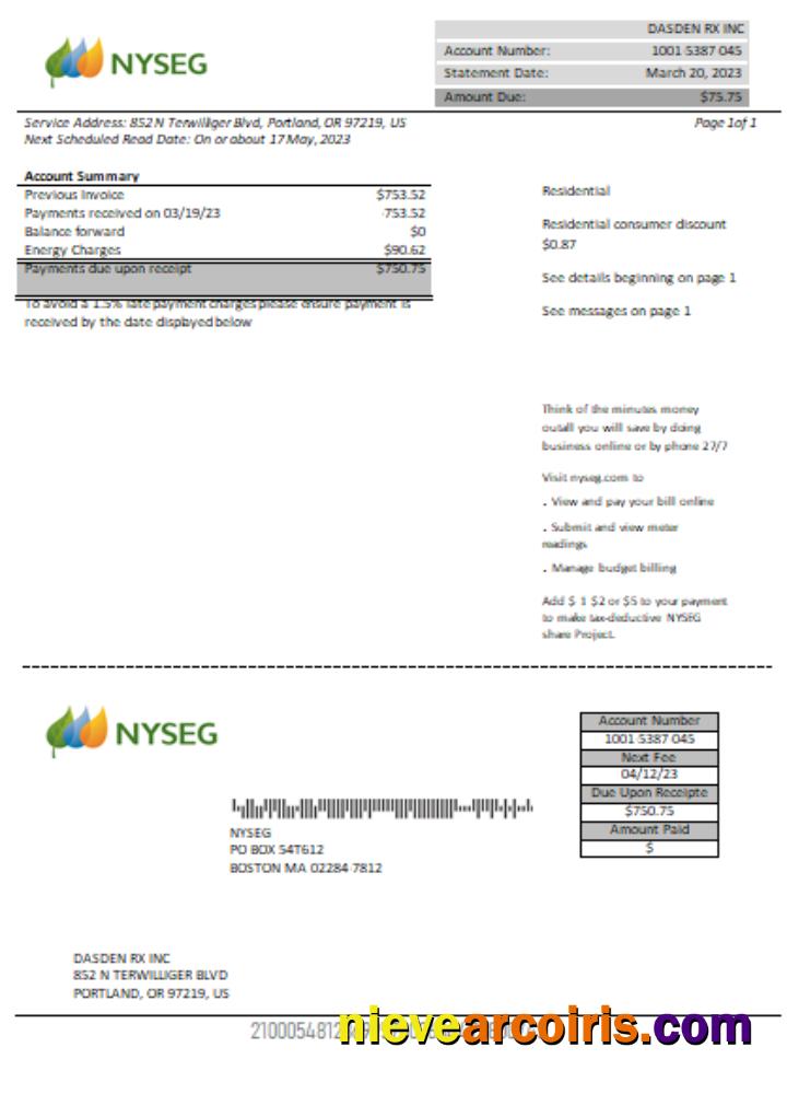 Boston NYSEG electricity utility business bill